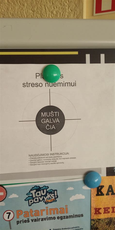 Infografika: mokymo proceso etapai Elenos vairavimo mokykloje