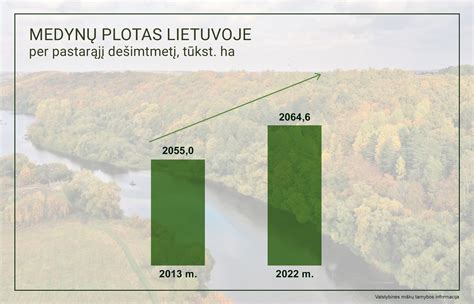 infografika, rodanti valstybinių miškų ploto ir vertės augimą per tam tikrą laikotarpį