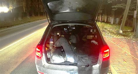 Tematinė nuotrauka su automobilio kilimėliais salone ir bagažinėje
