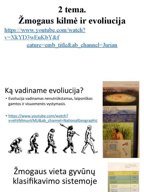 Infografika: Camaro kilmė ir evoliucija
