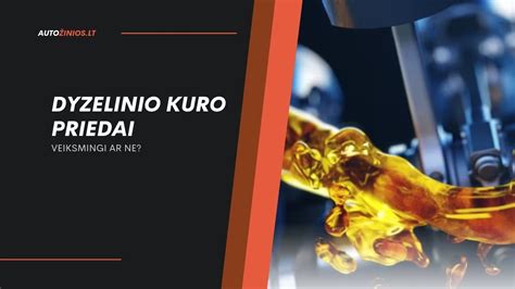 Dyzelinio kuro purkštuko pjūvio schema