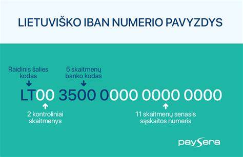 Infografika: Dažniausiai naudojamų dalies numerių formatas ir jų identifikacija