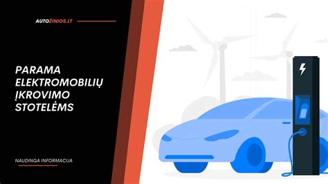 Infografika: ekologinių automobilių tipai pagal energijos šaltinį
