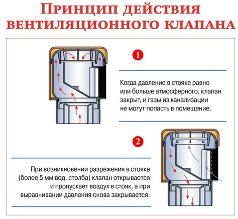 Infografika: Vinų tipų palyginimas ir taikymo sritis