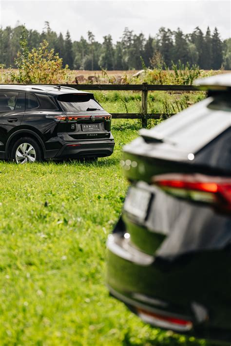 nuomojamų automobilių parko įvairovė