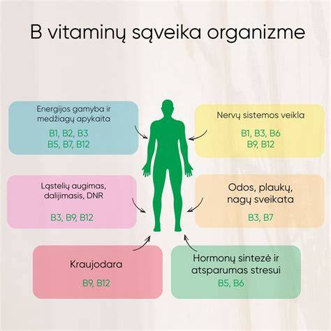 Infografika: kaip veikia baudų skyrimas ir išieškojimas