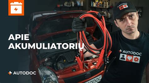 Infografika: Automobilio elektros sistemos patikros žingsniai