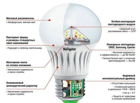 LED ir kaitrinės lemputės palyginimas infografika