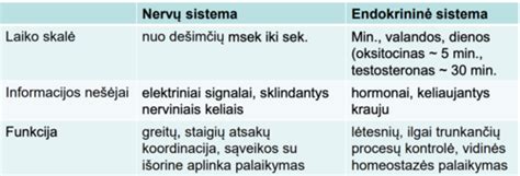 Schema: tiesioginės ir netiesioginės TPMS sistemos palyginimas