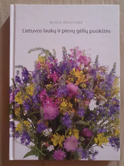 Platus Lietuvos laukų vaizdas su horizontu.