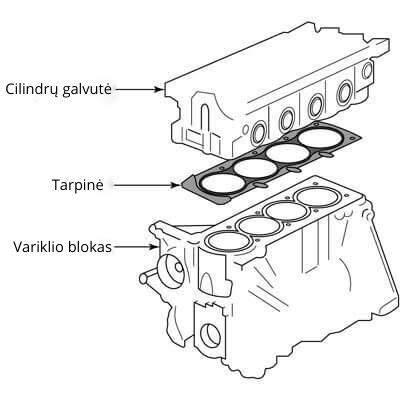 Tepalo aušintuvo schema ir galvos tarpinės vietos išdėstymas