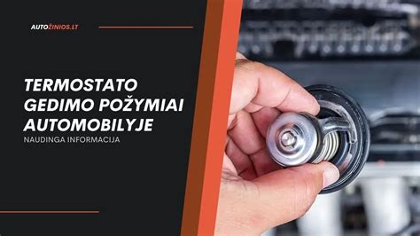 Termostato gedimo simptomų infografika automobilyje