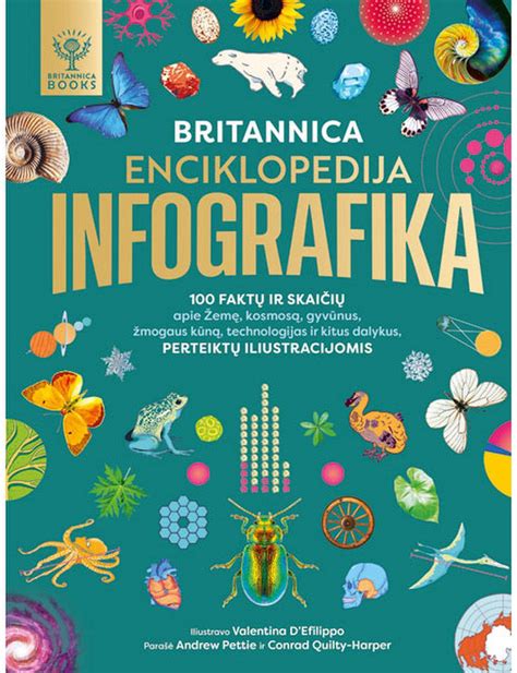 Infografika: Bolt kategorijų palyginimas - kainos, komfortas, galimi rėmėjimai