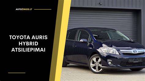 Infografika: Auris variklių pasirinkimai ir jų charakteristikos