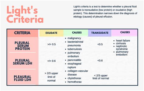 Infographic on criteria for choosing car lights