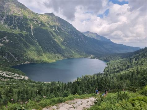 Panoraminis vaizdas į Zakopanę su Tatrų kalnais fone