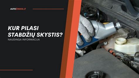 Nuotrauka, vaizduojanti automobilio stabdžių sistemos komponentus, įskaitant vakuumo siurblį.