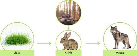 Schema, iliustruojanti, kaip fone veikiančios programėlės naudoja telefono resursus ir energiją.