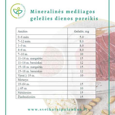 Infografika: Hemo ir nehemo geležies šaltiniai bei jų pasisavinimo skirtumai