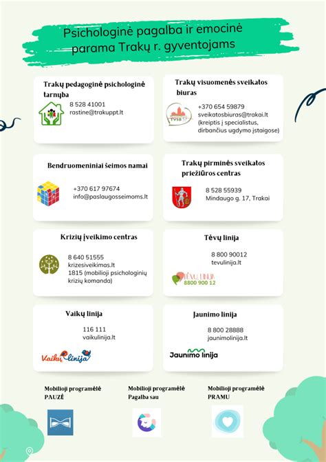 infografika, vaizduojanti teigiamus (pagalba, emocinė parama) ir neigiamus (dėmesio blaškymas, spaudimas) keleivių veiksmus vairavimo metu