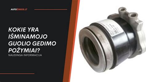 schema, vaizduojanti sankabos disko, išminamojo guolio ir smagračio sąveiką transmisijos sistemoje