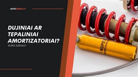 Amortizatorių tipų palyginimas (tepaliniai, dujiniai-tepaliniai, dujiniai)