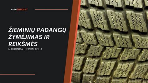 Padangų asortimento schema: Debica ir Goodyear grupės partnerystė