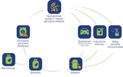 Infografinė schema apie purkštukų veikimą dyzeliniame variklyje