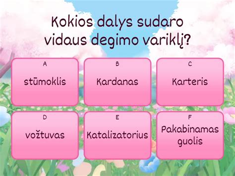 automobilio vairo kolonėlės sandara