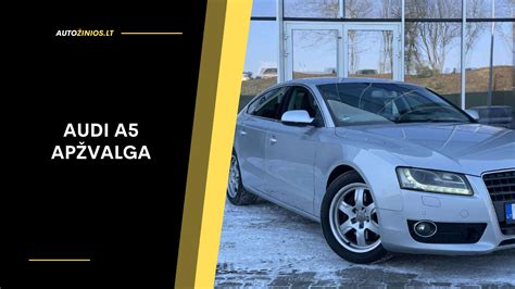 Audi modelių gamos apžvalga