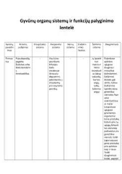 Amortizacinių sistemų palyginimo diagrama