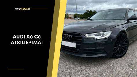 Infografika: Audi A6 [C4] amortizatorių josstitumentai ir veikimo principai