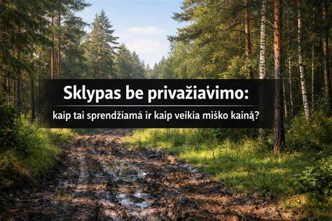 Infografika: lyginamoji medžiagų įtaka atsparumui ir kainai