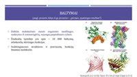 Infografika: Valytuvų tipai (plokšti, metaliniai, hibridiniai) ir jų sandara