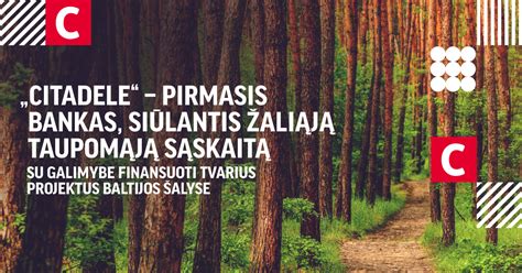 Ekranvaizdis, demonstruojantis e-parduotuvės katalogą su galimybe filtruoti ir užsakyti detales