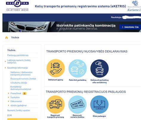 Infografika: kas atsako už transporto priemonę - nuosavybė, registravimas, draudimas