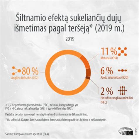 Infografika apie šiltnamio efektą sukeliančių dujų šaltinius ir jų poveikį