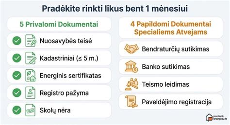 Infografika: pirkimo iš Vokietijos procesas (slaptažodžiai: apžiūra, istorija, dokumentai, mokesčiai, transportavimas, registravimas)