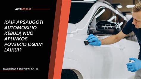 Universalaus automobilio stogo apmušimo pavyzdys, apsaugančio nuo aplinkos poveikio