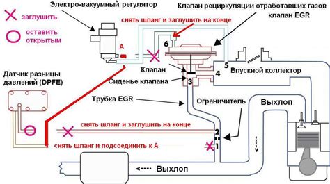 Schema, iliustruojanti EGR aušintuvo veikimo principą
