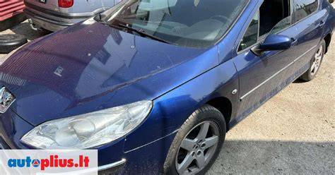 Infografika: Peugeot 407 vaziuoklės dalis ir jų funkcija