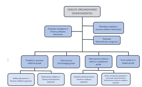 Slapukų tipų ir jų funkcijų schema