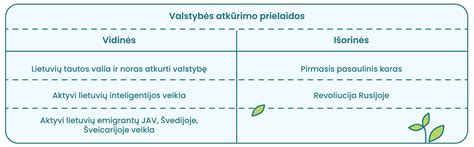 Schema, iliustruojanti vidinės ir išorinės CV jungties bei apsauginės gumos struktūrą automobilyje