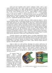 Planetarinės ritininės sraigtinės pavaros pjūvio schema