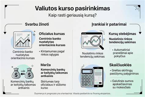 Infografika: Kaip pasirinkti galinį bamperį - lyginimas pagal modelius