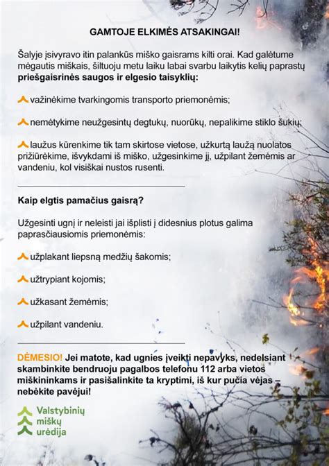 infografika su miškų gaisrų statistika ir prevencijos priemonėmis