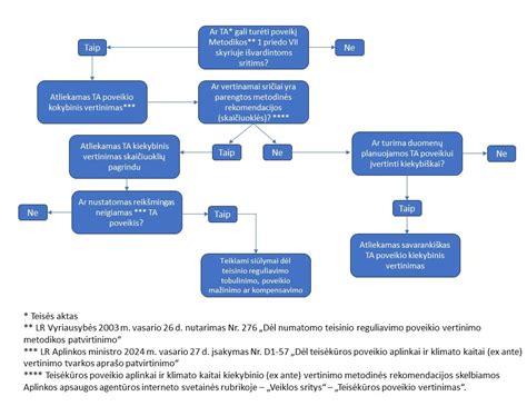 VIN patikros proceso schema ir duomenų srautas