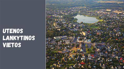 Žemėlapis: vietos paslaugų teikėjų koncentracija Utenos regione
