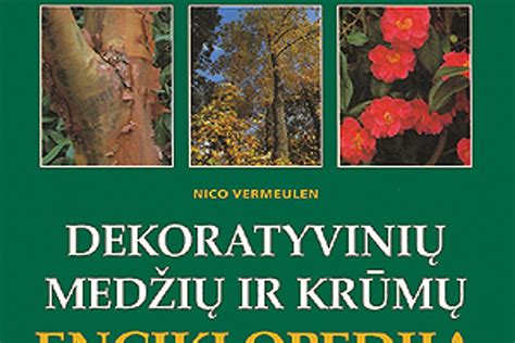 medžių ir krūmų išdėstymo planas sklype su nurodytais atstumais