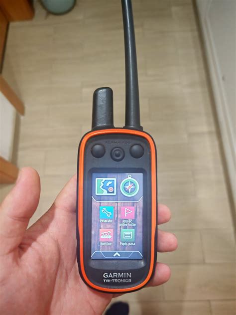Schema, kaip veikia Garmin Alpha 100 sistema